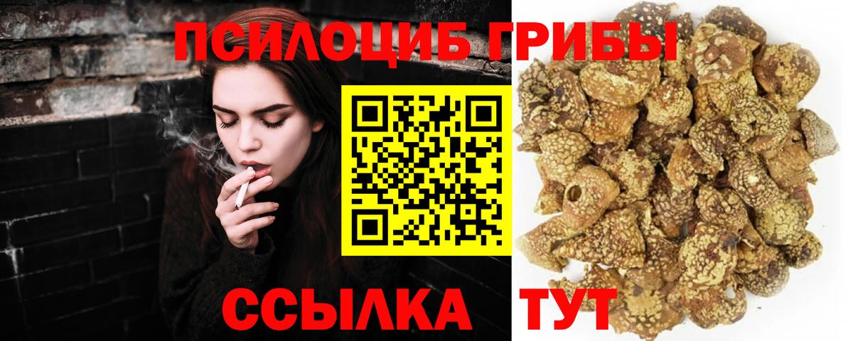 Долгопрудный  Псилоцибиновые грибы Magic Shrooms  Вход с VPN 